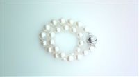 Armband Sommer Dame Collezione Perle in Perlen Perla BR_PERLE MAG B - BR_PERLE MAG B